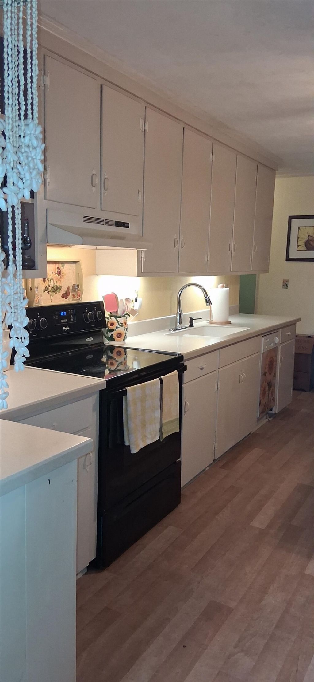 903 Tiffany Ln. Photo 6
