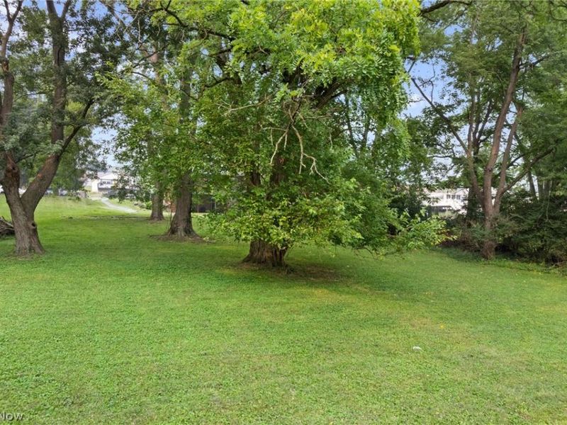 2442 Newton Street, Akron, OH 44305 Photo 30