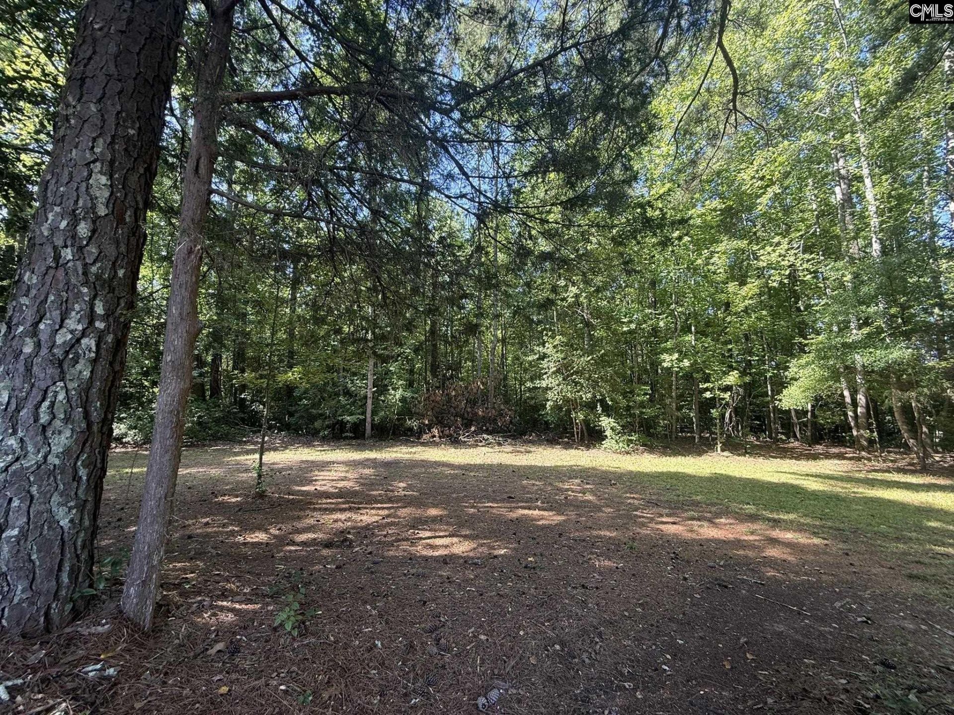 12541 Broad River Road  Photo 17