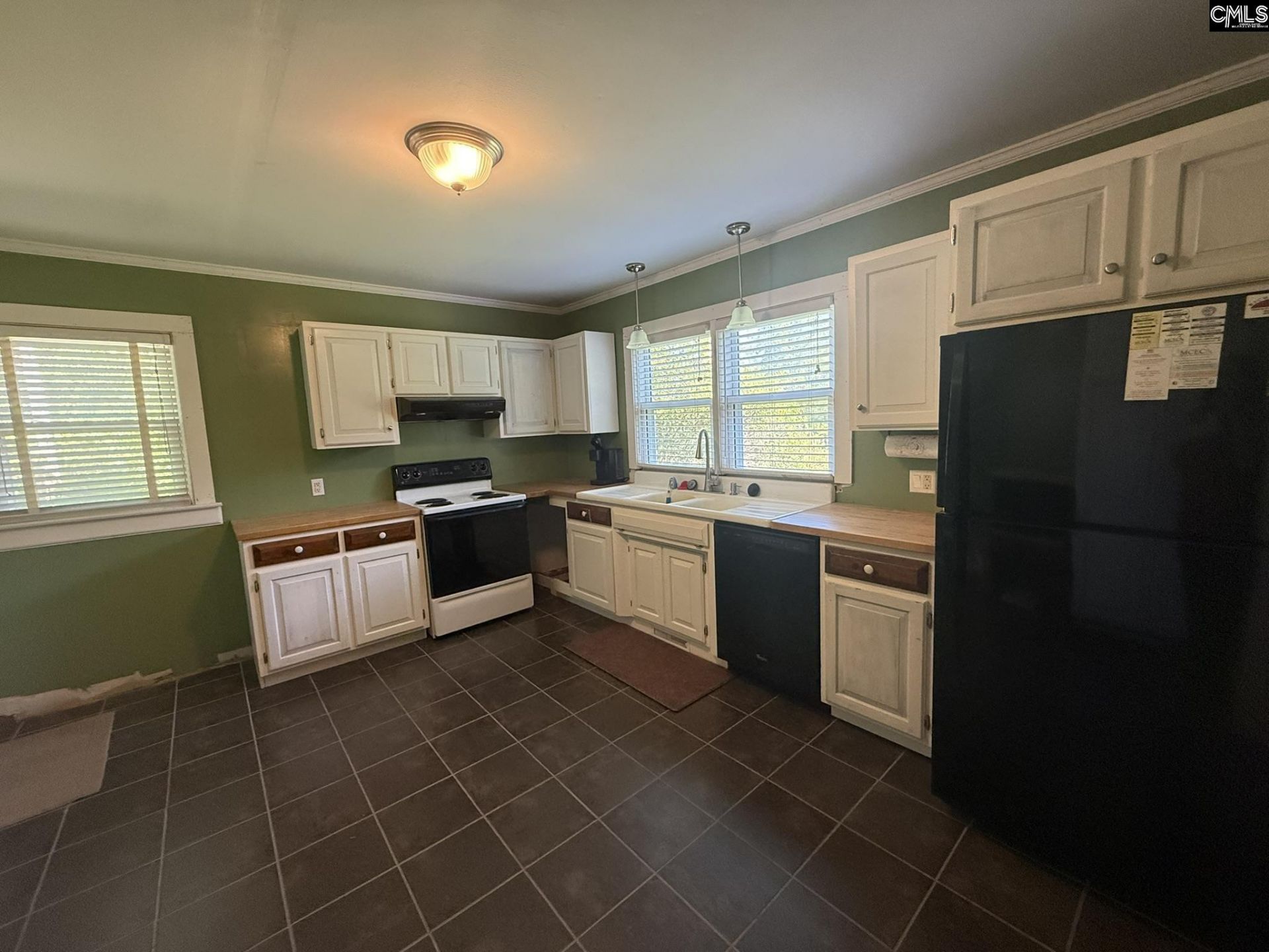 12541 Broad River Road  Photo 5