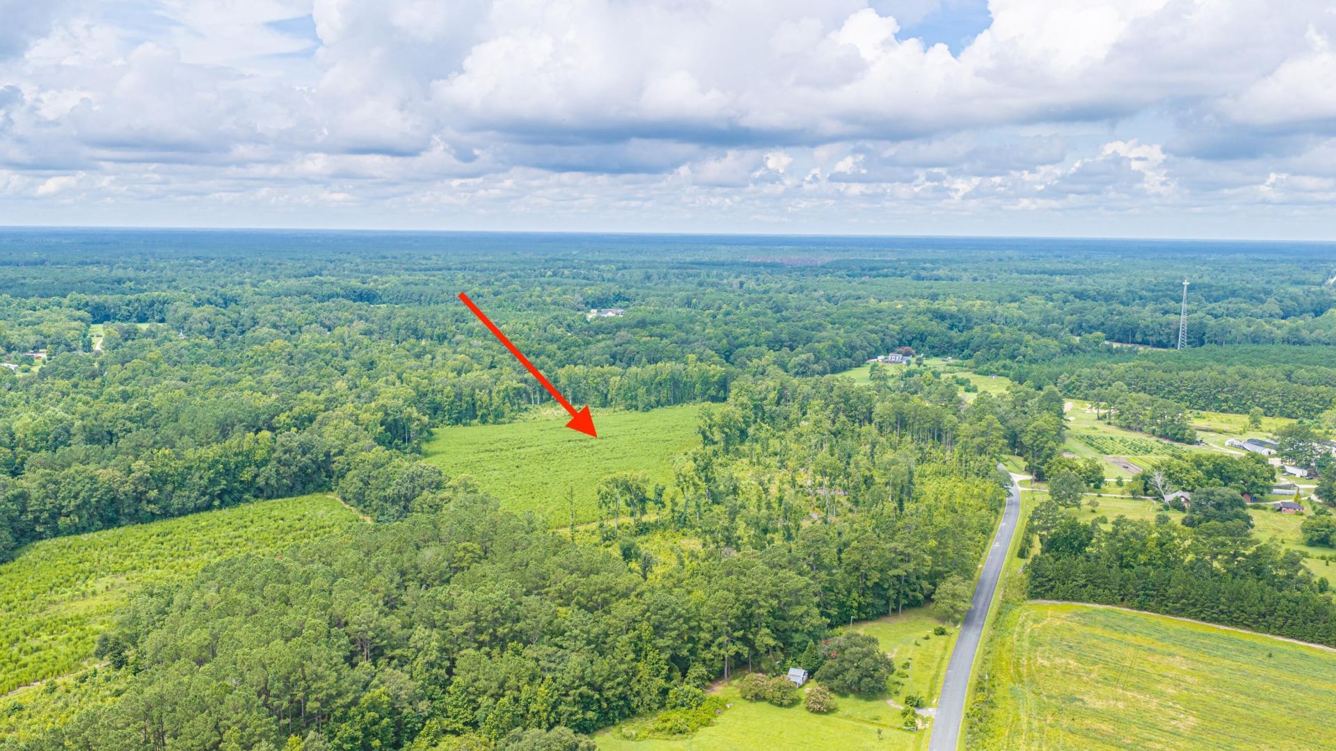 1570 Highway 61 Photo 11
