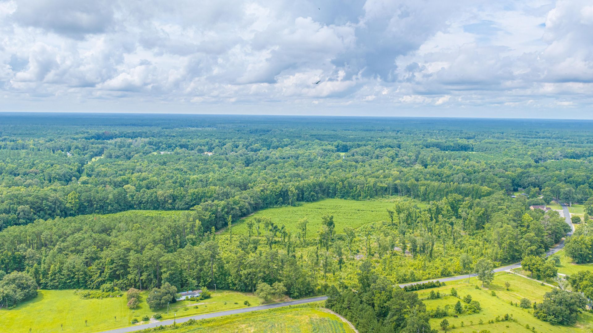 1570 Highway 61 Photo 12