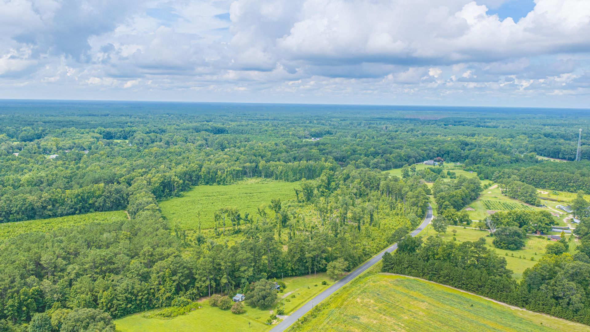 1570 Highway 61 Photo 14