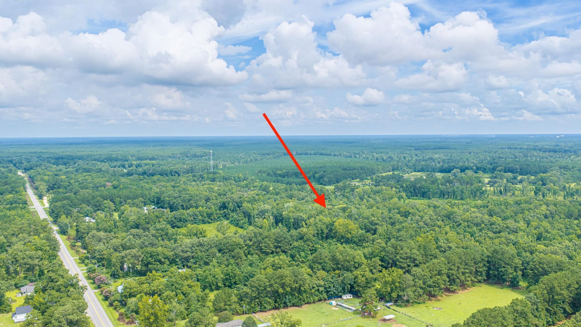 1570 Highway 61 Photo 15