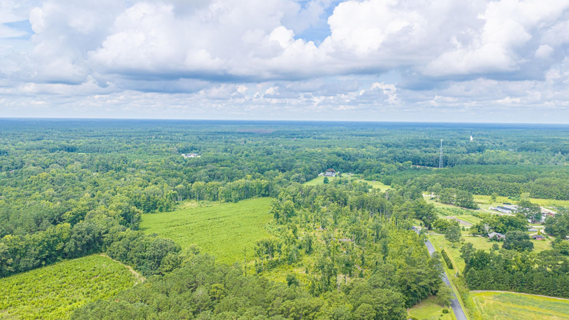 1570 Highway 61 Photo 16