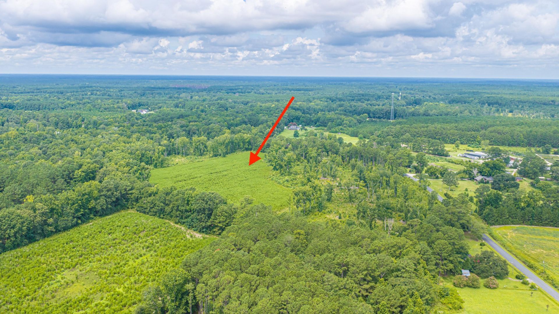 1570 Highway 61 Photo 17
