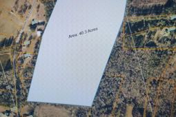 1570 Highway 61 photo 4