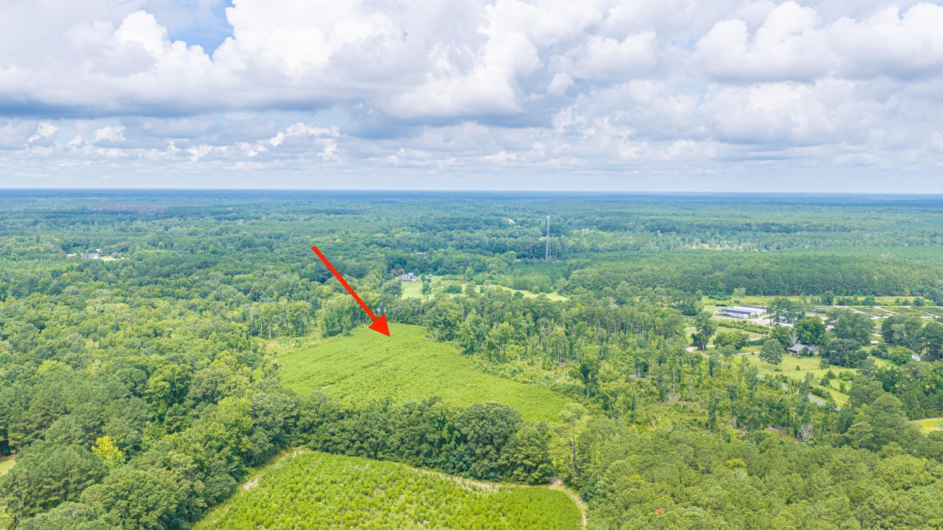 1570 Highway 61 Photo 20