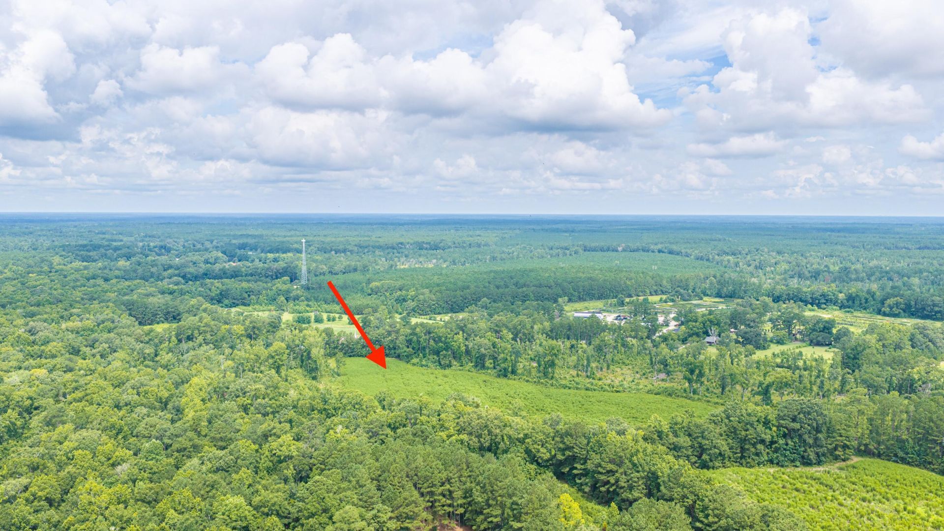 1570 Highway 61 Photo 23