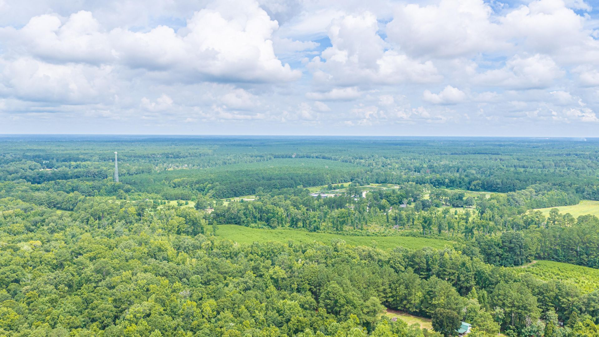 1570 Highway 61 Photo 24
