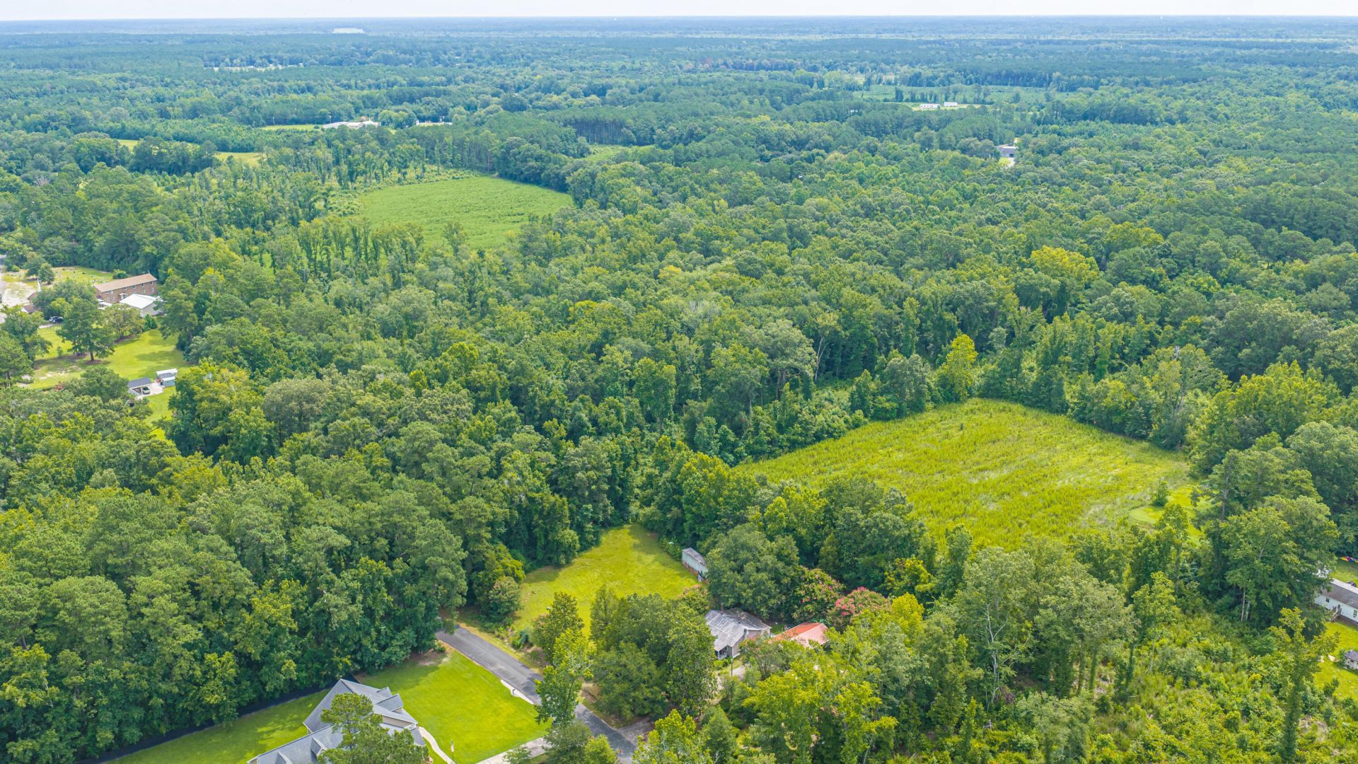 1570 Highway 61 Photo 45