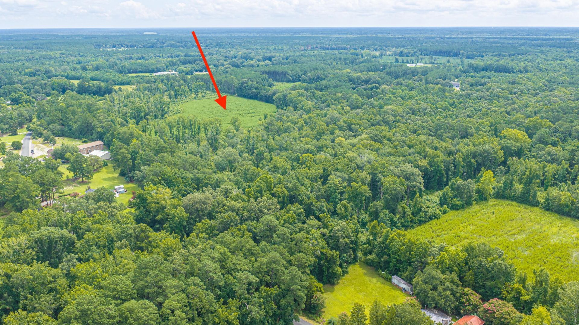 1570 Highway 61 Photo 47
