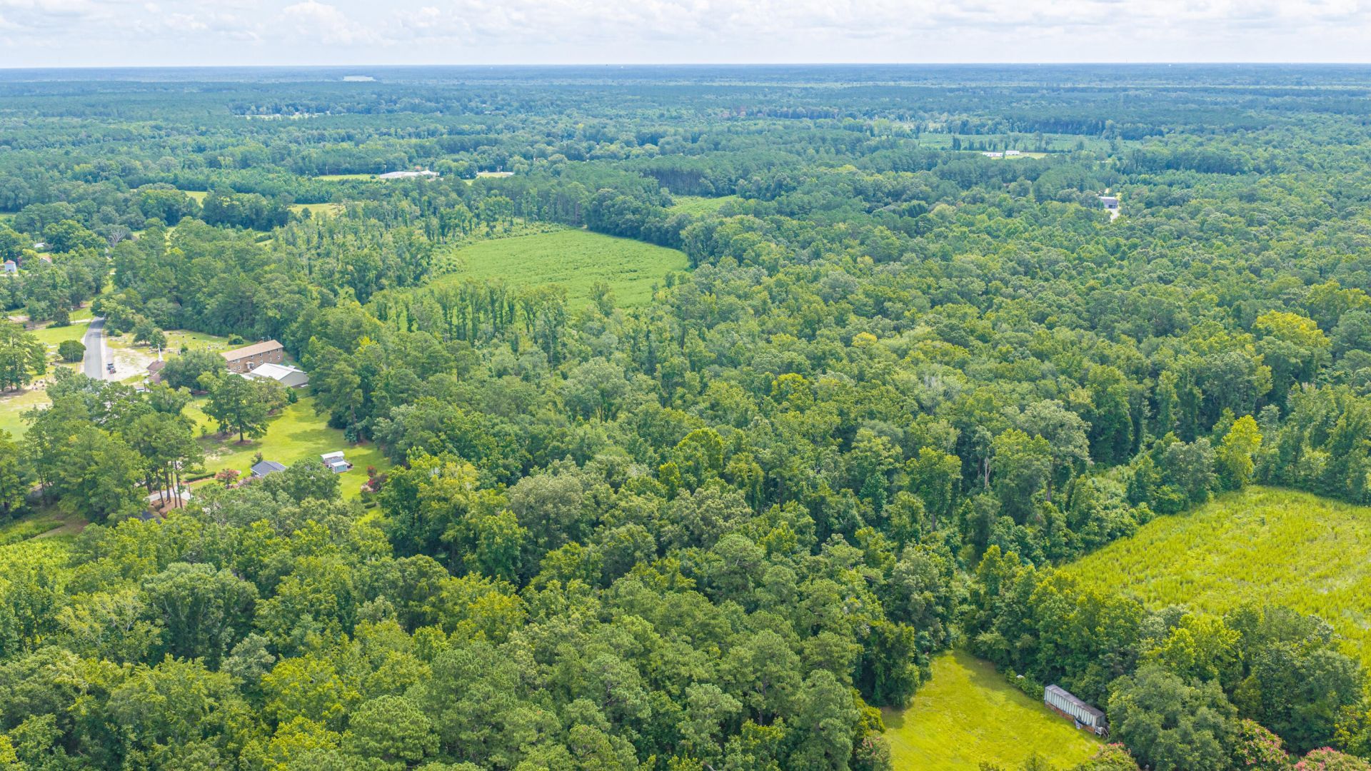 1570 Highway 61 Photo 48