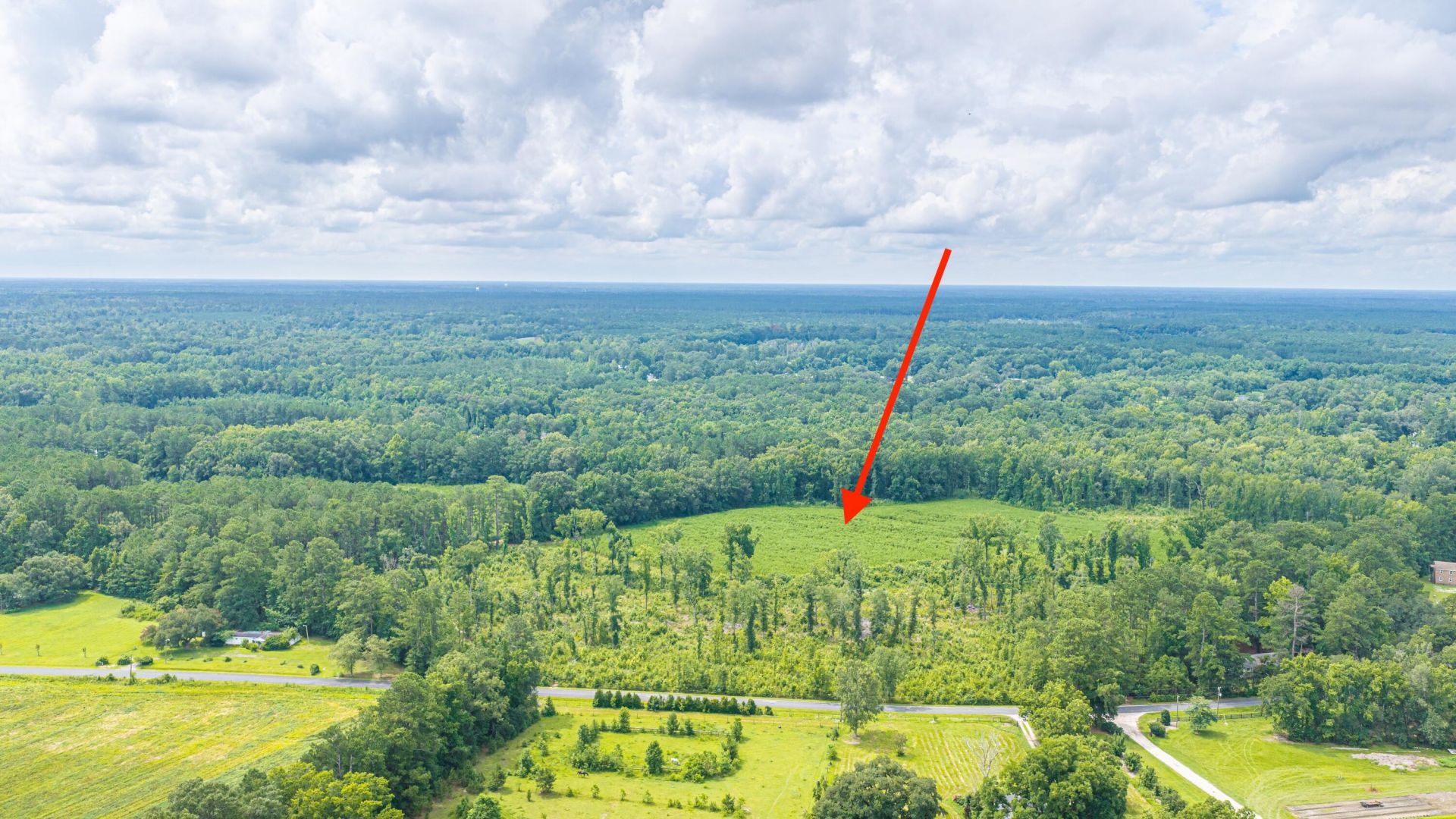 1570 Highway 61 Photo 9