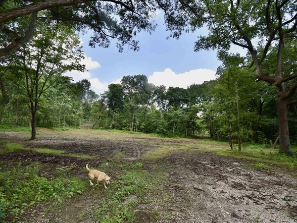 6066 SR 161 Highway, Tennyson, IN 47637