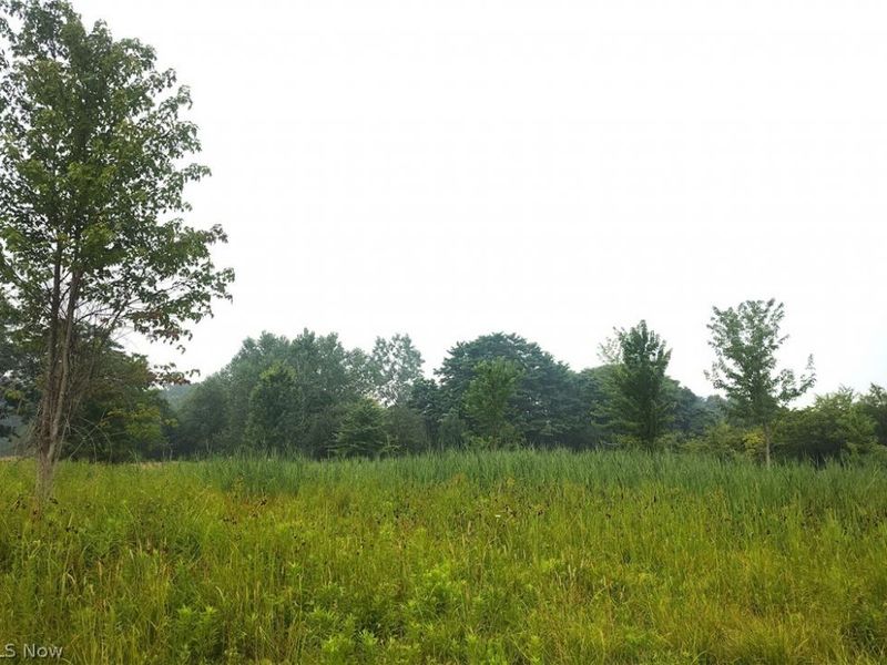 VL Mcmackin Road, Madison, OH 44057 Photo 2