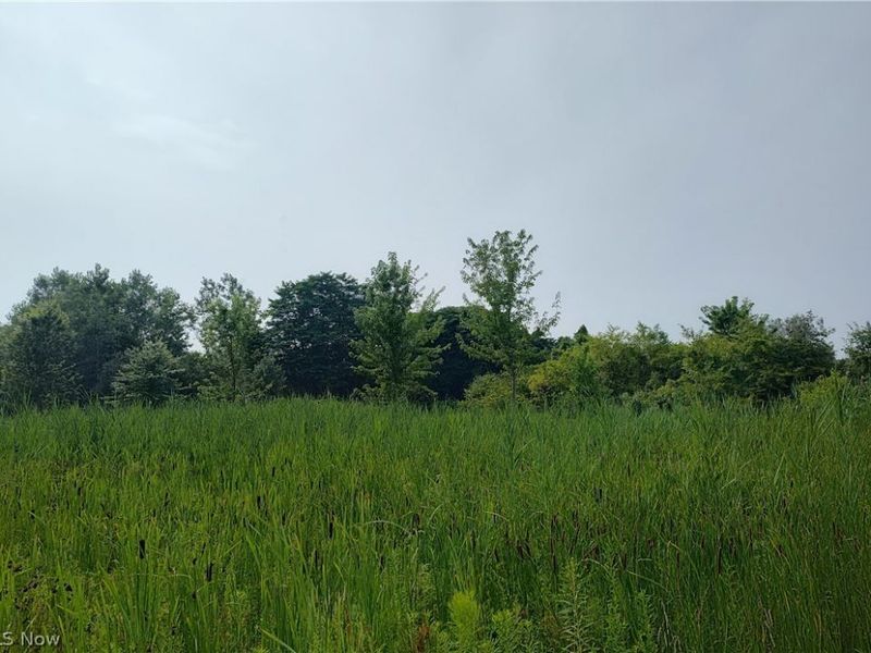 VL Mcmackin Road, Madison, OH 44057 Photo 3