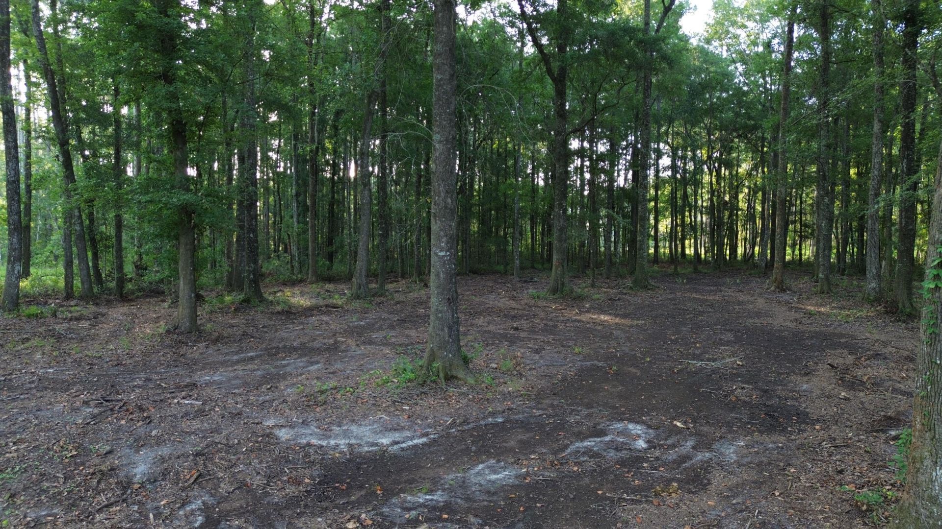 379 Fish Road Estates Lane Photo 16