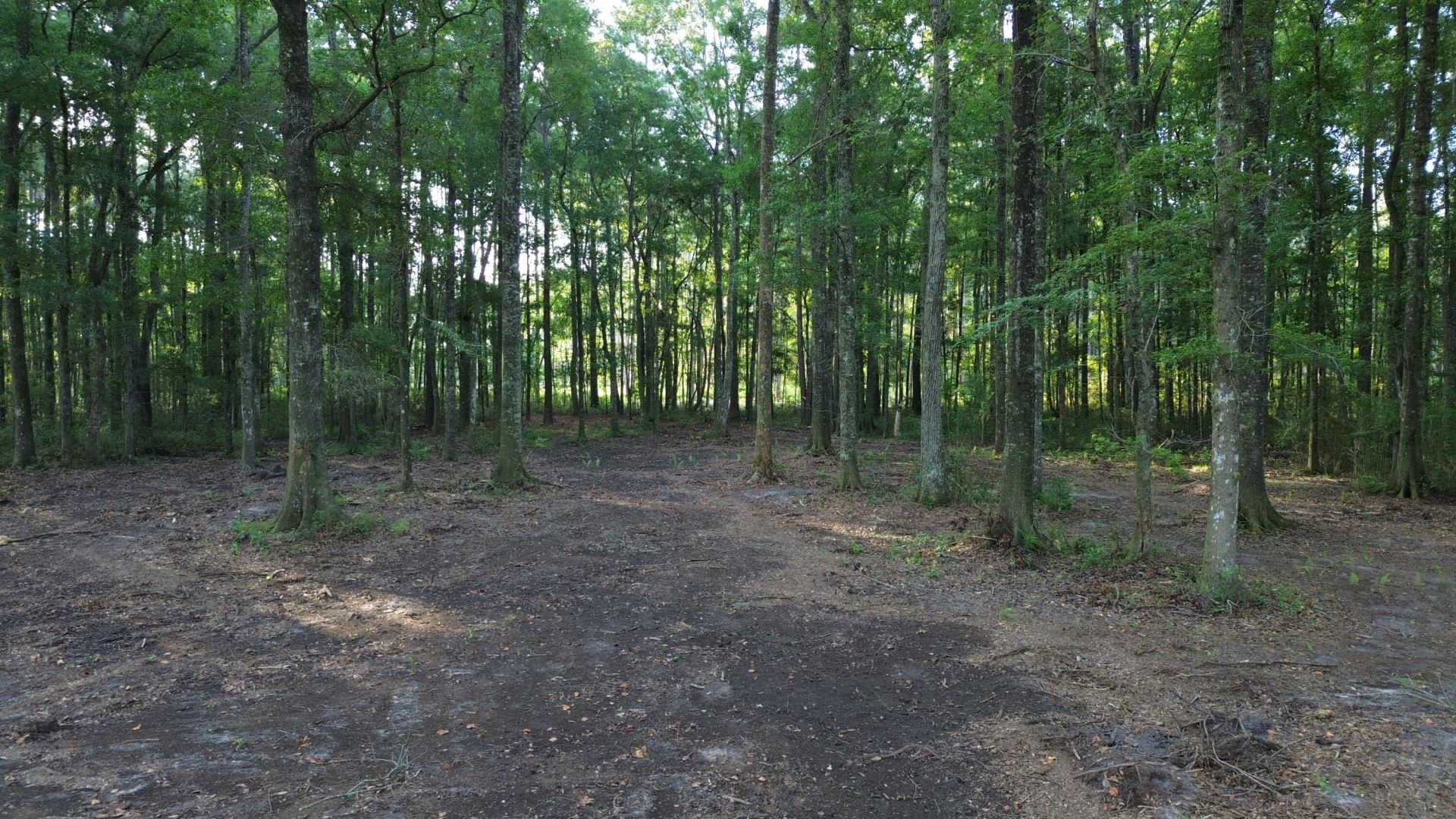 379 Fish Road Estates Lane Photo 17