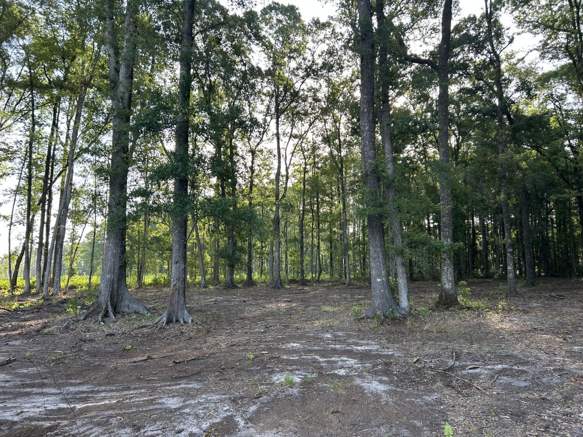 379 Fish Road Estates Lane Photo 30