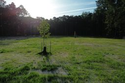 379 Fish Road Estates Lane photo 4