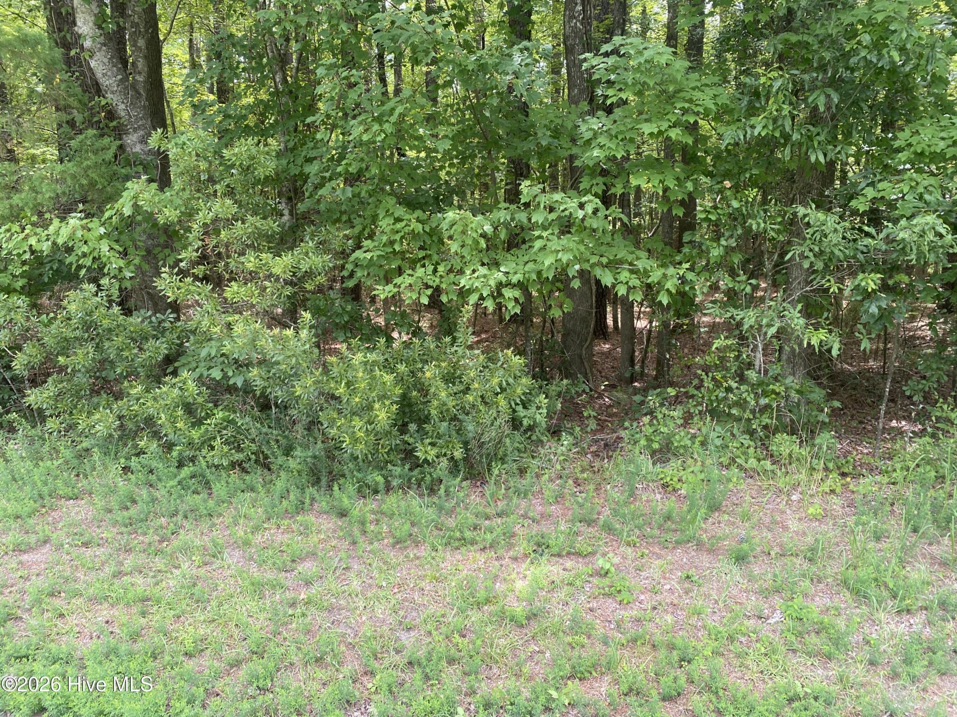 Lot 20 Hollis Drive, Blounts Creek, NC 27814 Main Photo