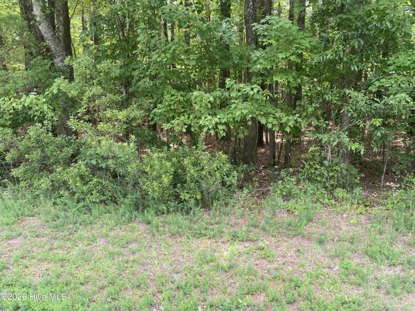 Lot 20 Hollis Drive, Blounts Creek, NC 27814