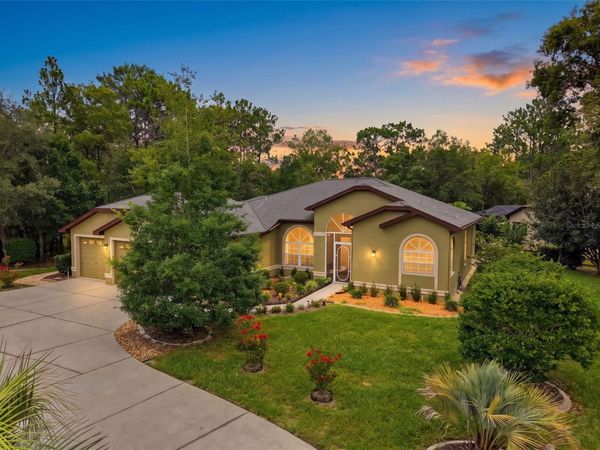 1 PLUMBAGO DRIVE , HOMOSASSA, FL 34446