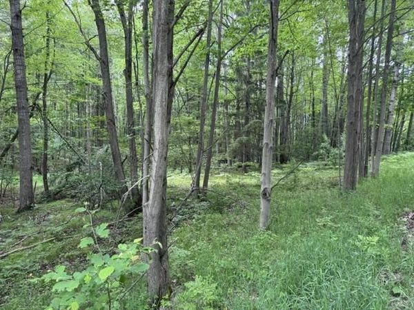 142 Hills Circle, Leroy, MI 49655