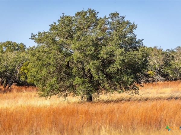 1260 County Road 2001 , Lampasas, TX 76550
