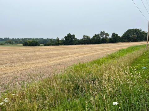 Main Photo