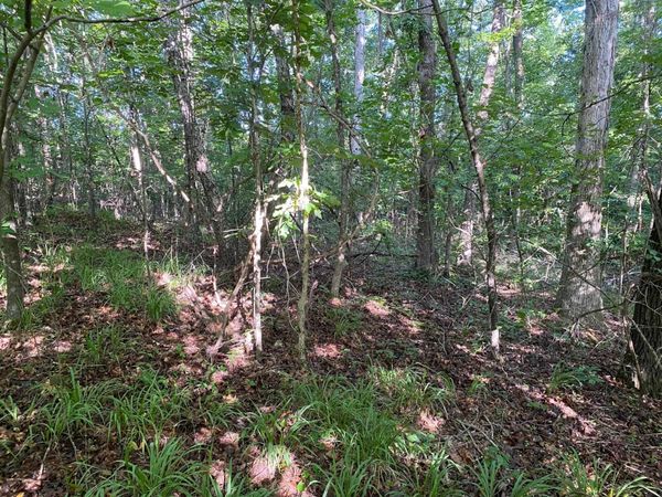 COUNTRY WOODS DR, Selmer, TN 38375
