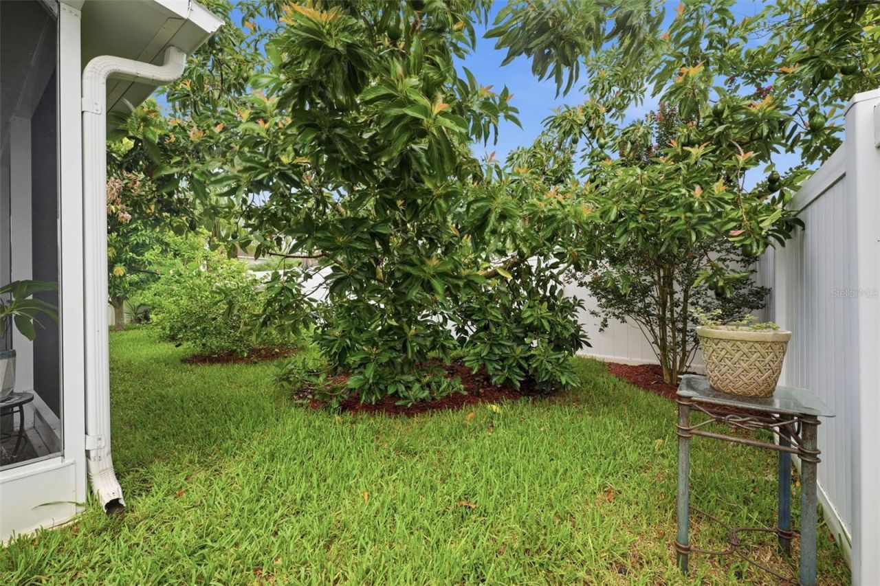 2814 Maple Brook Loop, Lutz, FL 33558 Photo