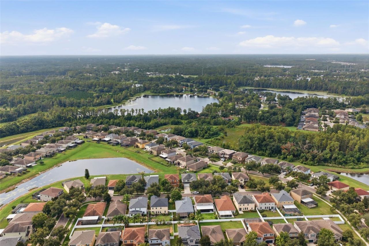 2814 Maple Brook Loop, Lutz, FL 33558 Photo