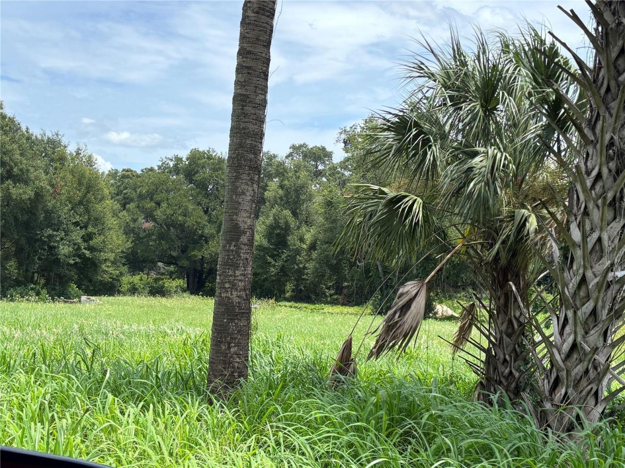 Ne 23 , Citra, FL 32113 Photo