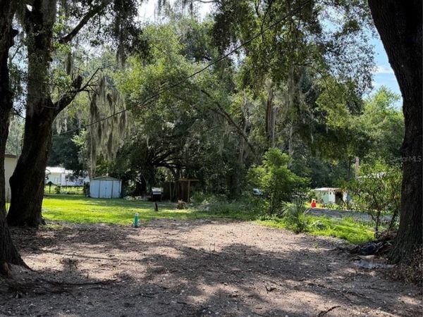 CR 491W , LAKE PANASOFFKEE, FL 33538