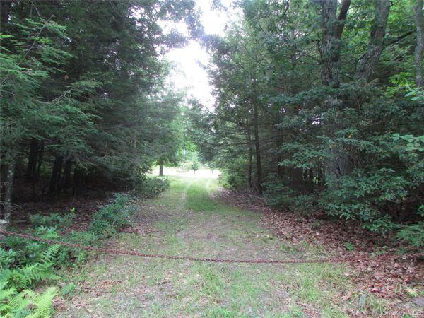 Fox Hill Road Tr 55 , Mountain Dale, NY 12733