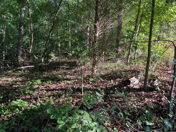 COUNTRY WOODS DR, Selmer, TN 38375