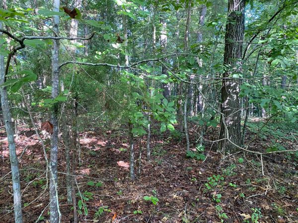 COUNTRY WOODS DR, Selmer, TN 38375