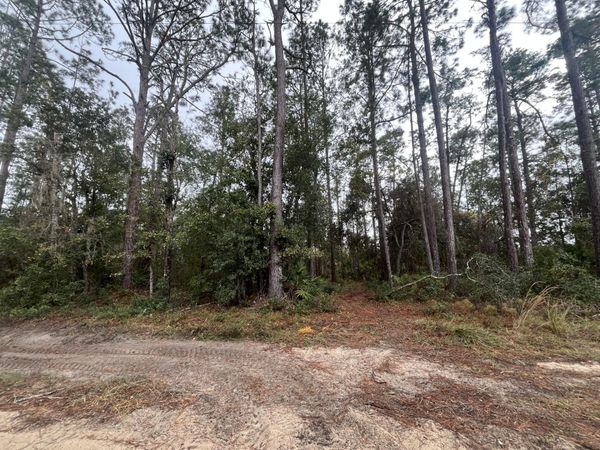 Tbd susan Street, Interlachen, FL 32148