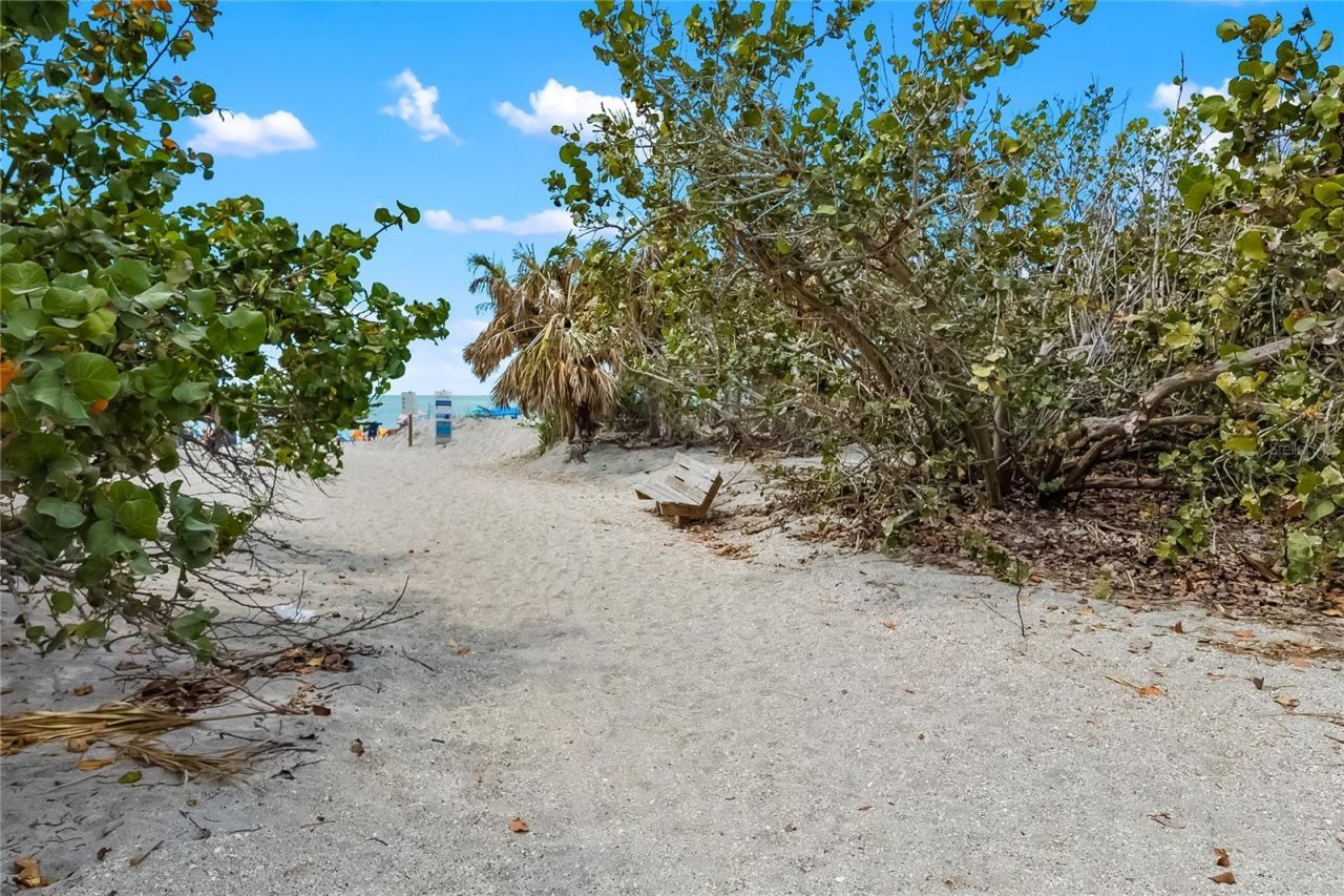 10868 Tarflower Drive, Venice, FL 34293 Photo