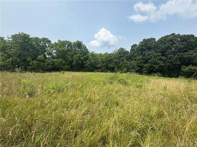 0 Licklider Road, Conover, OH 45317 Photo 1