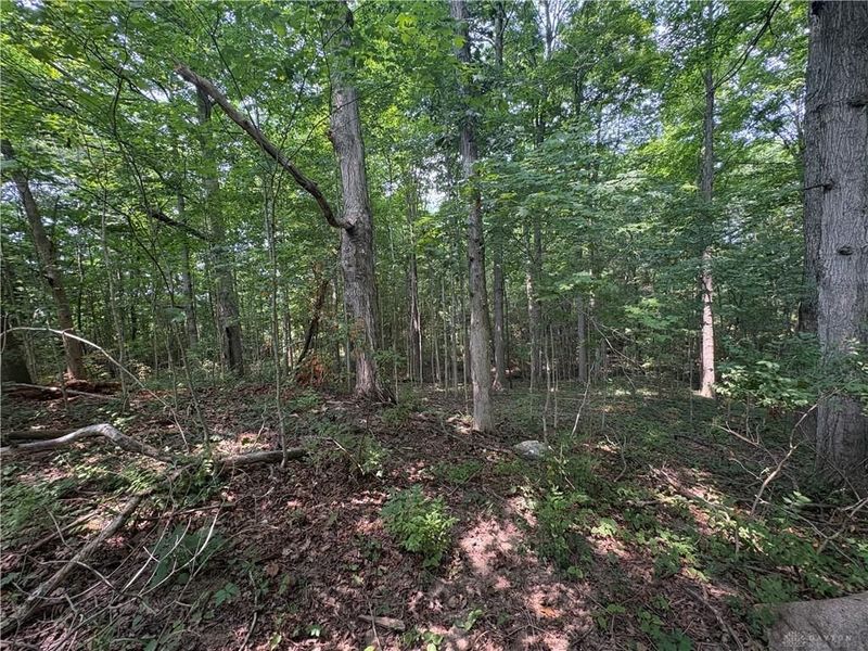 0 Licklider Road, Conover, OH 45317 Photo 2