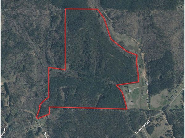 Co Rd 393, Burnsville, MS 38833