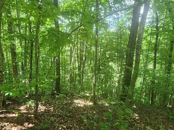 lot 15 Roaring Ridge Trail, Hiawassee, GA 30546