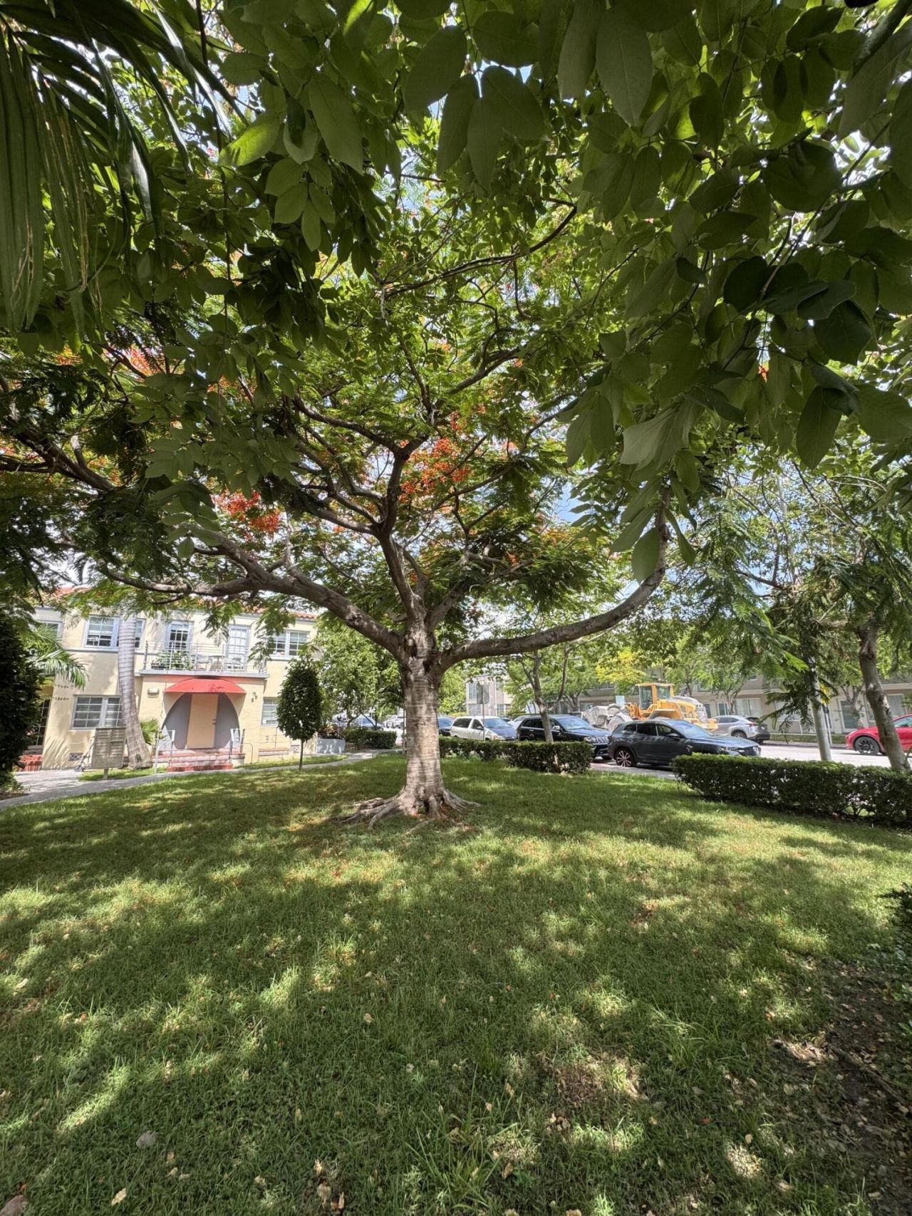 1450 Meridian Avenue, Unit 101, Miami Beach, FL 33139 Photo