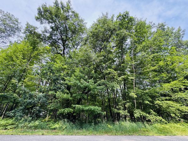 Lot 254 Goldenrod Drive, Houghton Lake, MI 48629