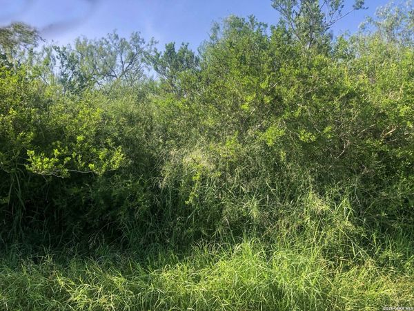 000 cr 619, Skidmore, TX 78389