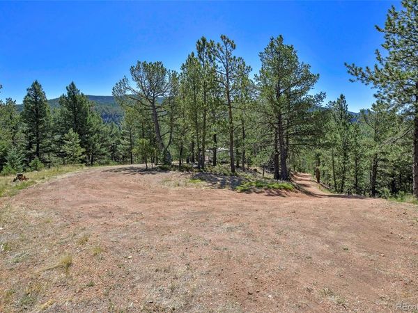 20083 S State Highway 67 , Divide, CO 80814