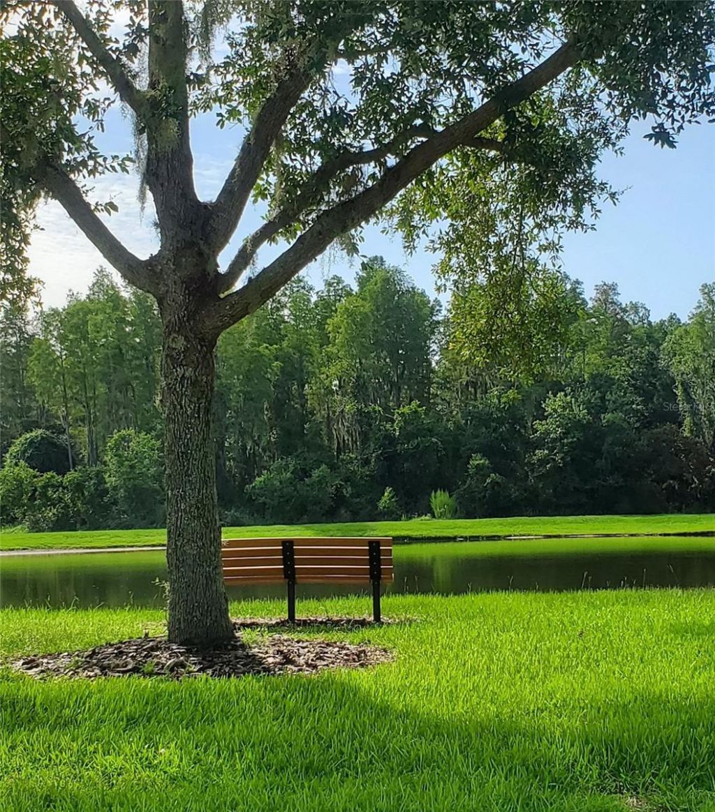 5522 Reflections Boulevard, Lutz, FL 33558 Photo
